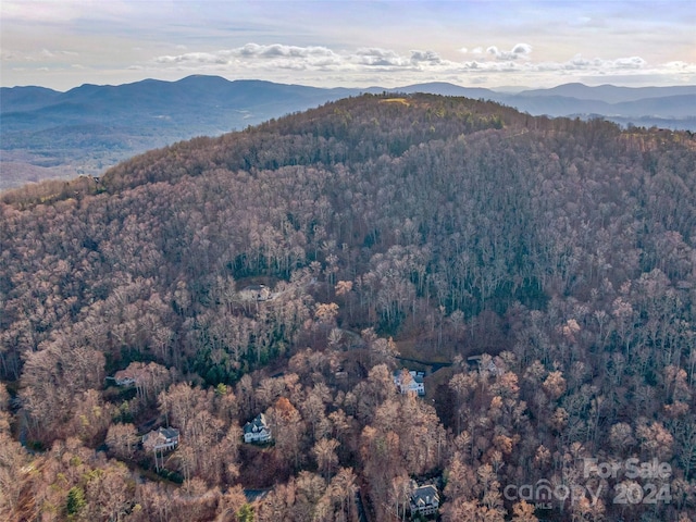 Listing photo 3 for 99999 Stonecrest Dr Unit A, Asheville NC 28803