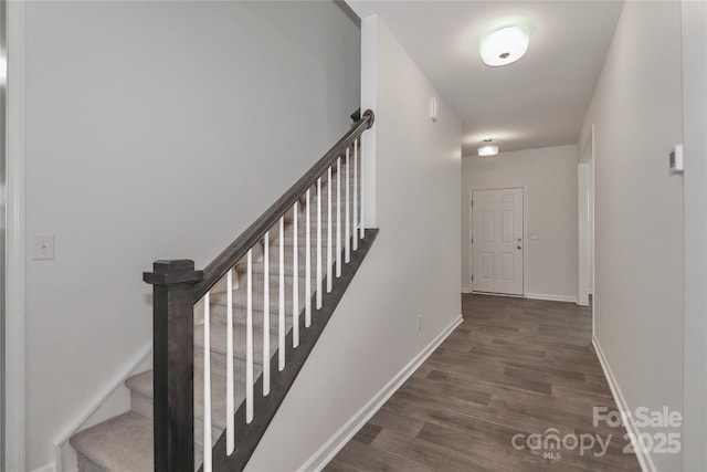 stairway featuring wood-type flooring