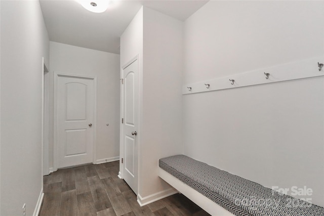 mudroom featuring dark wood-type flooring