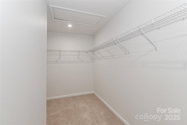 spacious closet with light carpet