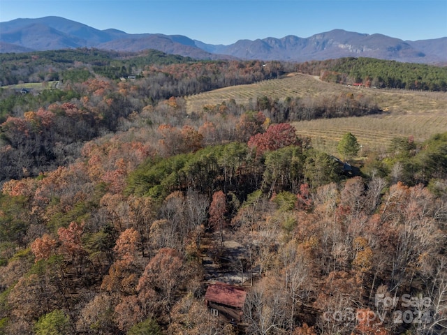 property view of mountains