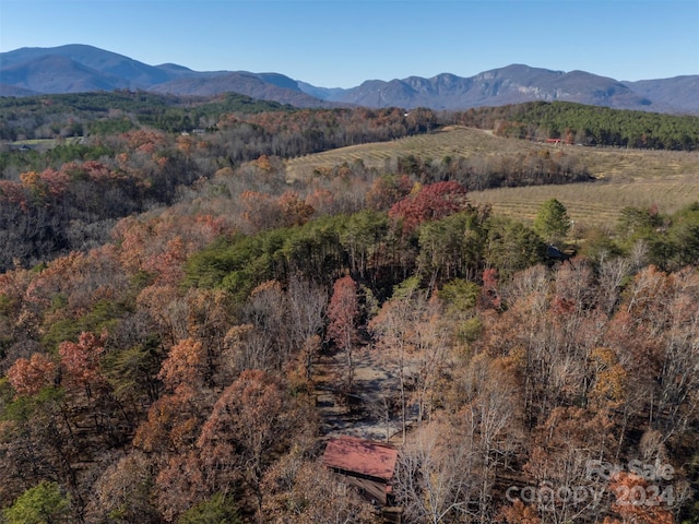 property view of mountains