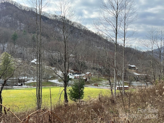 Listing photo 3 for 443 Long Branch Rd Unit A, Mars Hill NC 28754