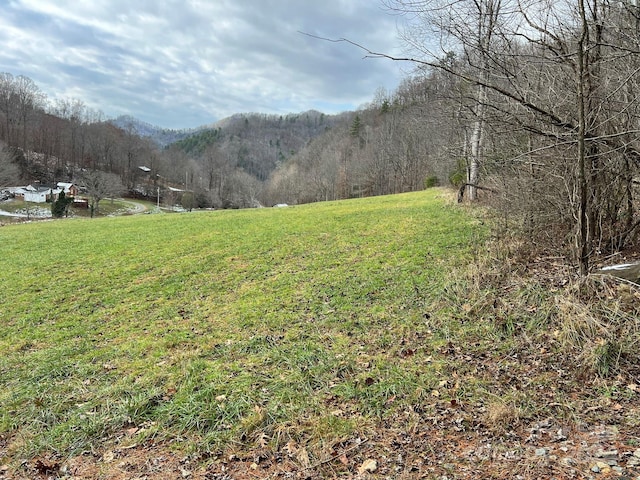 443 Long Branch Rd Unit A, Mars Hill NC, 28754 land for sale