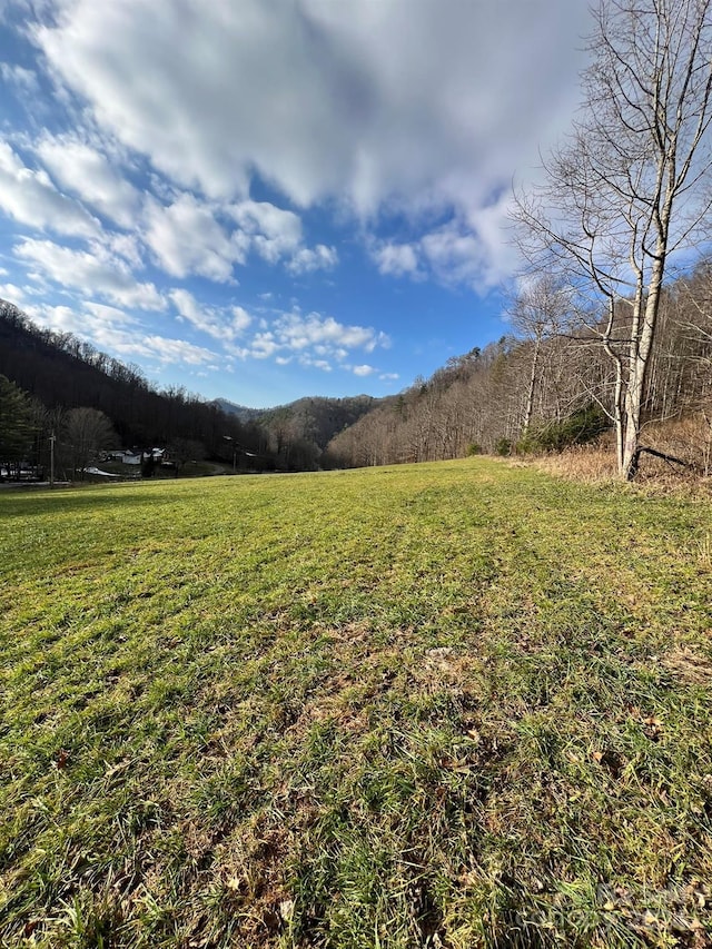 Listing photo 2 for 443 Long Branch Rd Unit A, Mars Hill NC 28754