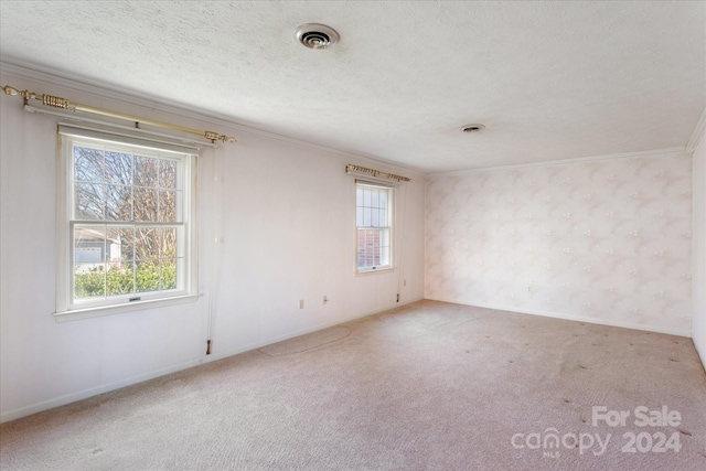 carpeted spare room with ornamental molding and a textured ceiling