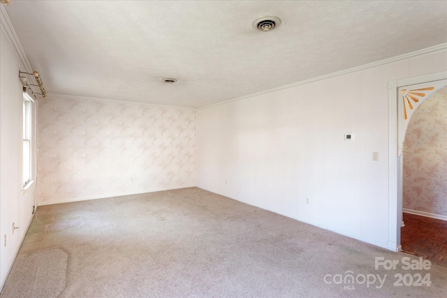 carpeted empty room featuring crown molding and a textured ceiling