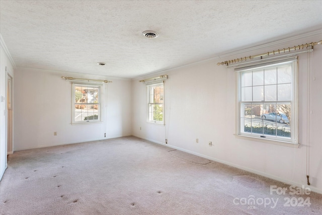 empty room featuring light carpet, a textured ceiling, and ornamental molding