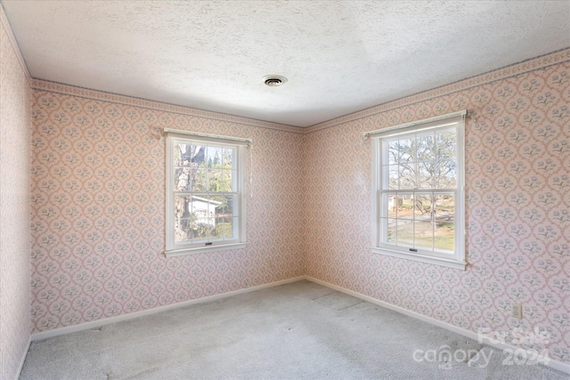 empty room with carpet flooring, a healthy amount of sunlight, and a textured ceiling