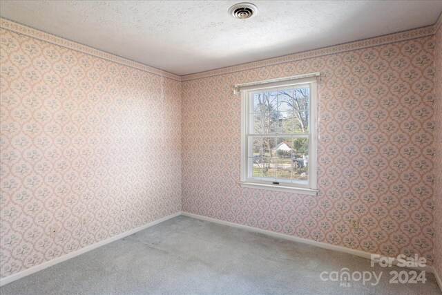 carpeted spare room featuring a textured ceiling