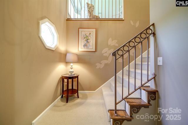 staircase featuring carpet floors and baseboards