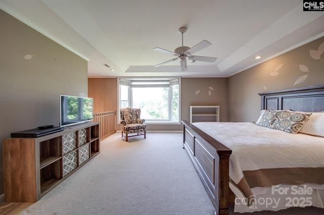 carpeted bedroom with a ceiling fan and a raised ceiling