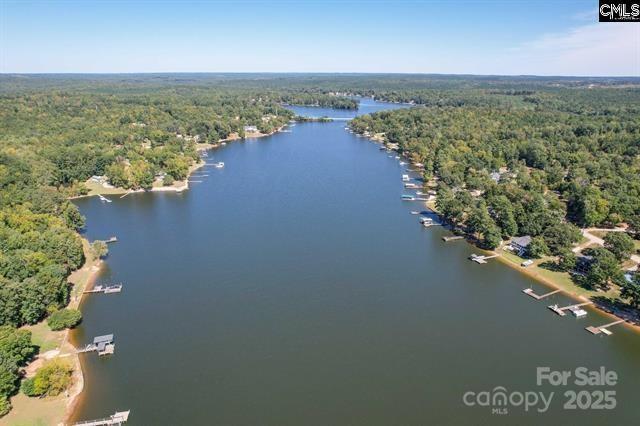 birds eye view of property featuring a water view and a view of trees