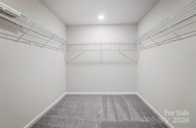 walk in closet with carpet