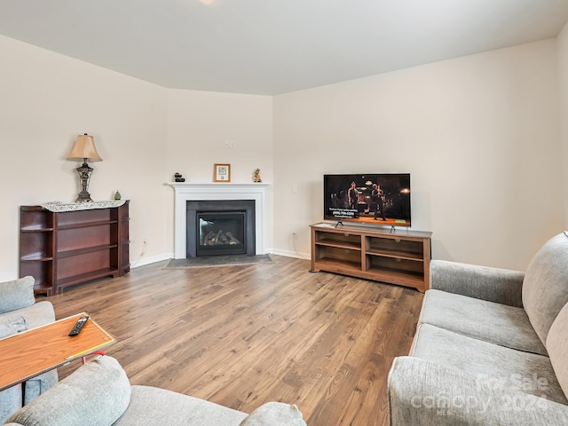 living room with hardwood / wood-style floors