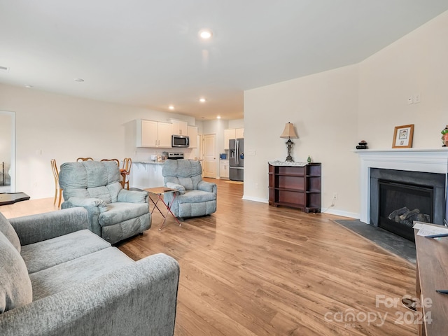 living room featuring light hardwood / wood-style flooring