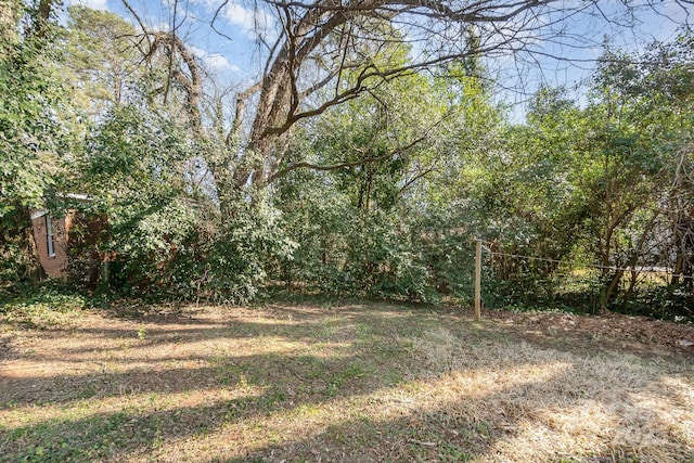 2630 Druid Hills Way, Charlotte, NC 28206 - photo 19