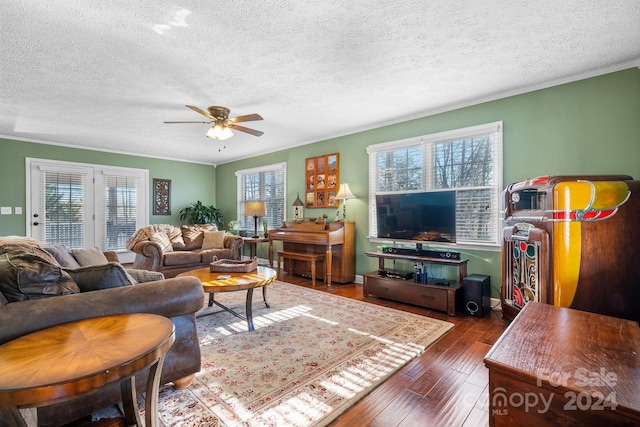 living room with a textured ceiling, plenty of natural light, and dark wood-type flooring