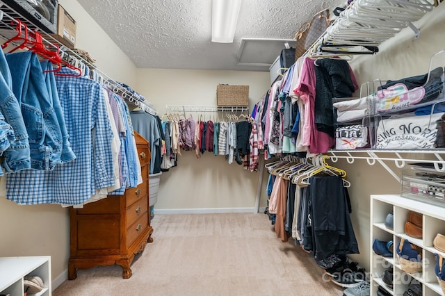 spacious closet with carpet floors