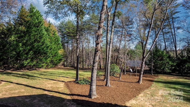 view of community featuring a yard