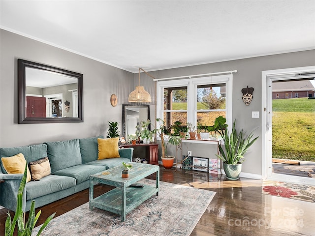 living room featuring wood-type flooring and ornamental molding