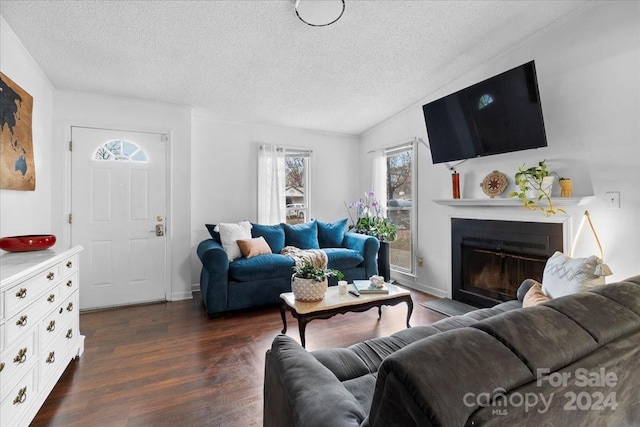 living room with a textured ceiling and dark hardwood / wood-style floors