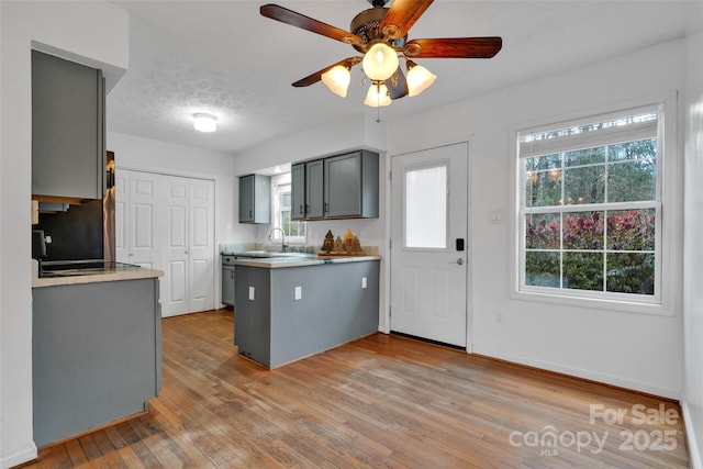 kitchen with gray cabinetry, sink, ceiling fan, a textured ceiling, and light hardwood / wood-style floors