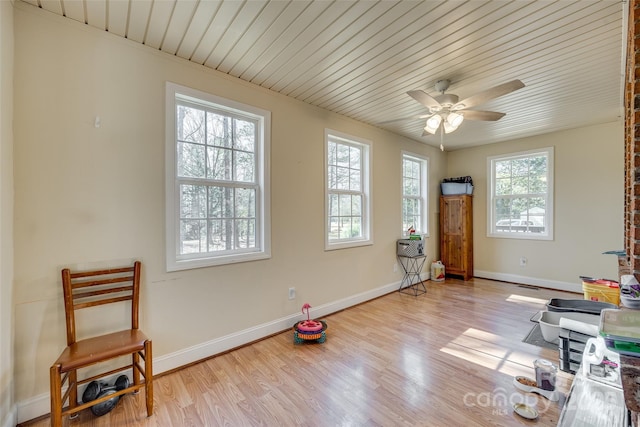 miscellaneous room featuring light wood-type flooring, plenty of natural light, and ceiling fan