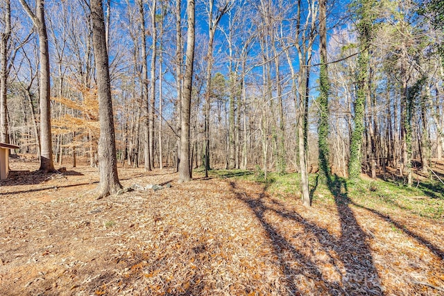 view of local wilderness