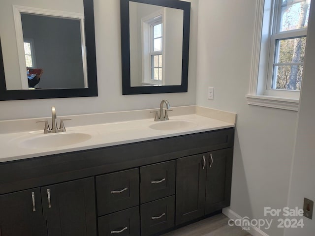 bathroom with vanity and a wealth of natural light