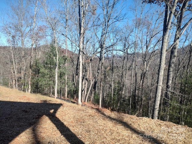 view of local wilderness