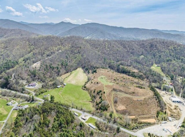 87 Barnardsville Hwy, Weaverville, NC 28787