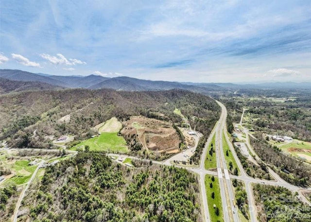 87 Barnardsville Hwy, Weaverville, NC 28787
