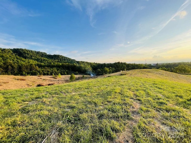 87 Barnardsville Hwy, Weaverville, NC 28787