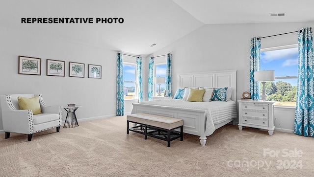 carpeted bedroom with lofted ceiling and multiple windows