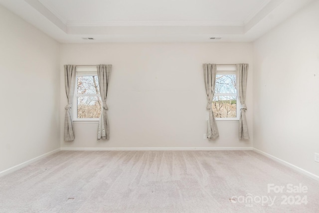 carpeted empty room featuring a raised ceiling, a wealth of natural light, and crown molding