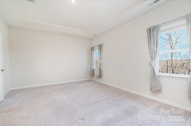 spare room featuring crown molding, carpet, and a tray ceiling