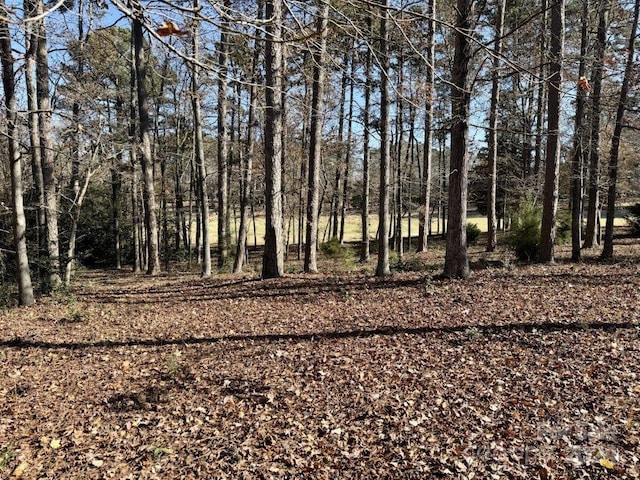 Listing photo 2 for 123 Whitley Mill Rd, New London NC 28127