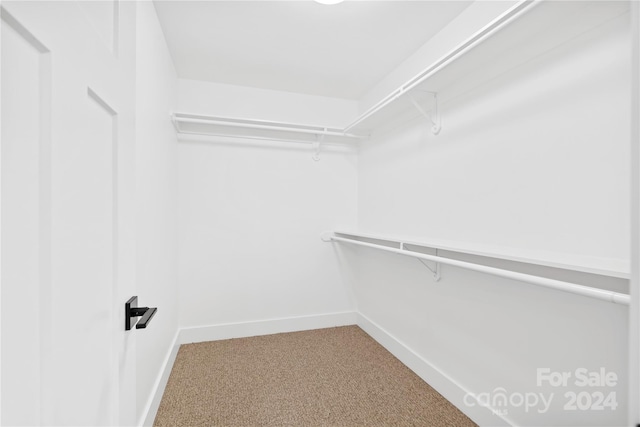 20 Heartleaf Cir Lot 7, Arden, NC 28704 - spacious closet featuring carpet floors