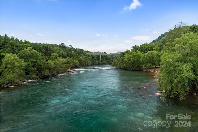 20 Heartleaf Cir Lot 7, Arden, NC 28704 - water view