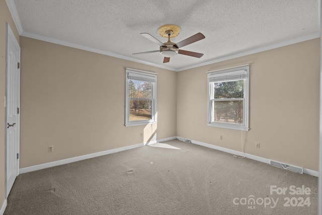 carpeted spare room featuring plenty of natural light, ornamental molding, and a textured ceiling