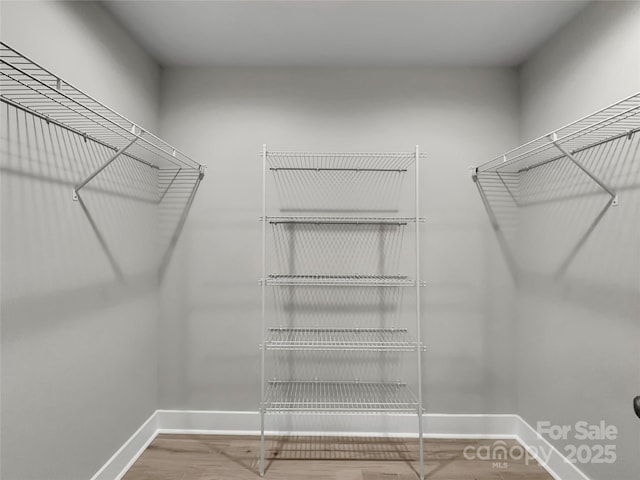 spacious closet featuring hardwood / wood-style flooring