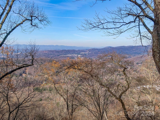 99999 Stonecrest Dr Unit B, Asheville, NC 28803