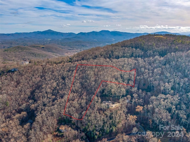 Listing photo 2 for 99999 Stonecrest Dr Unit B, Asheville NC 28803