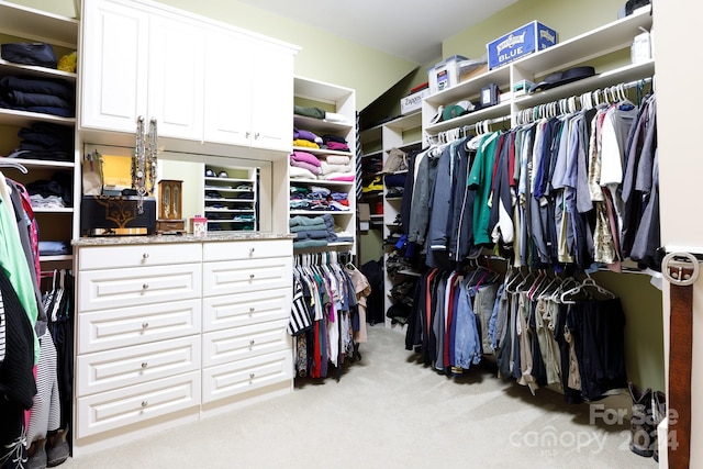 spacious closet with light colored carpet