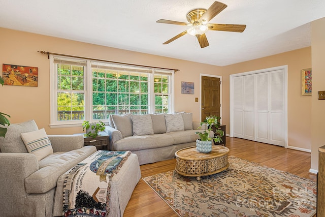 living room featuring ceiling fan and light hardwood / wood-style floors