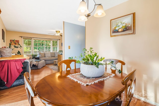 dining space featuring ceiling fan with notable chandelier and light hardwood / wood-style flooring