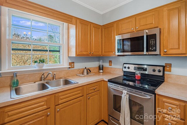 kitchen with appliances with stainless steel finishes, crown molding, and sink