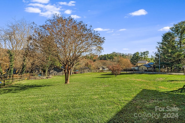 view of yard featuring a rural view