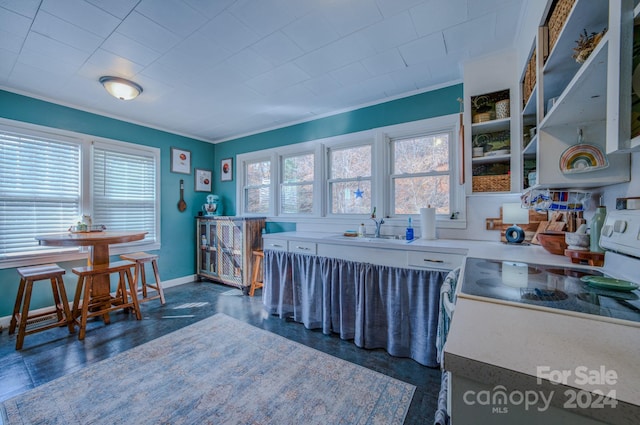 kitchen with sink and crown molding